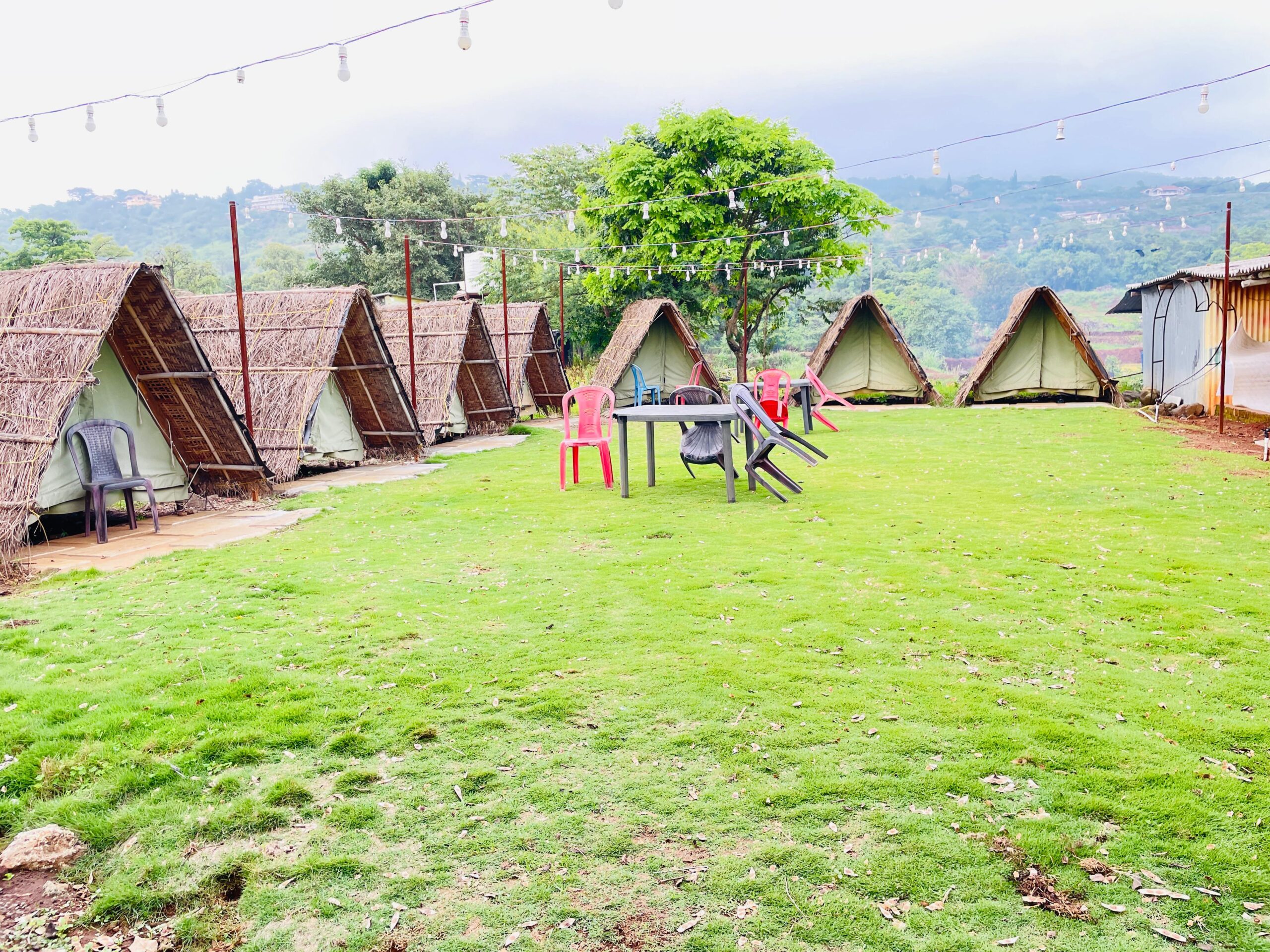 WhatsApp Image 2025-08-17 at 2.51.39 PM